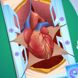 Хирургия Шунтирования Сердца